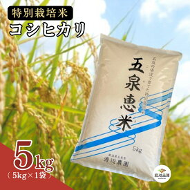 【ふるさと納税】 令和7年産 米 5kg 五泉産 コシヒカリ五泉恵米 特別栽培米 選べる回数 | 白米 精米 こしひかり お米 おこめ コメ こめ おすすめ 人気 新潟県 五泉市 渡辺農園