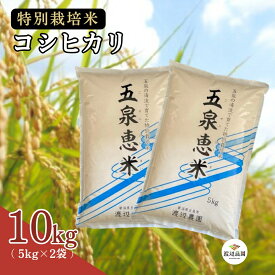 【ふるさと納税】 令和7年産 米 10kg ( 5kg × 2袋 ) 五泉産 コシヒカリ五泉恵米 特別栽培米 選べる回数 | 白米 精米 こしひかり お米 おこめ コメ こめ おすすめ 新潟県 五泉市 渡辺農園