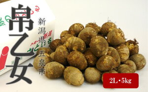 yӂ邳Ɣ[ŁzƂu剳iʂƂ߁jv2LTCYEMLTCY 5kg Iׂ V ܐs ܐs|gDAc