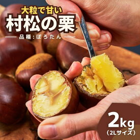【ふるさと納税】【先行予約】 栗 越後村松の栗 ぽろたん 2kg ( 2Lサイズ ) 大粒 | くり クリ お取り寄せ 産地直送 特産品 新潟県 五泉市 村松特産振興協議会栗部会 [2026年10月下旬から順次発送]
