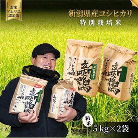 【ふるさと納税】 令和7年産 米 10kg ( 5kg × 2袋 ) 五泉市産 コシヒカリ 特別栽培米 お米ソムリエのお米 | 白米 精米 こしひかり おこめ 新潟県 五泉市 エバーグリーン農場