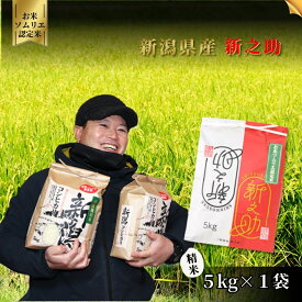 【ふるさと納税】 令和7年産 米 5kg 五泉市産 新之助 お米ソムリエのお米 | 白米 精米 しんのすけ お米 おこめ コメ こめ おすすめ 新潟県 五泉市 エバーグリーン農場
