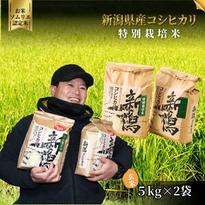 yӂ邳Ɣ[Łz ߘa7NY V  10kg ( 5kg × 2 ) ܐsY RVqJ ʍ͔| ă\Ĝ | ܂ Ђ  V ܐs Go[O[_