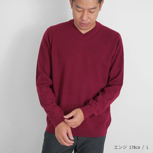 【ふるさと納税】 Vネックセーター カシミヤ 100% メンズ 日本製 M L LL | ニット Vネック 薄手 無地 シンプル 長袖 秋冬 冬 新潟県 五泉市 高橋ニット株式会社