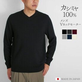 【ふるさと納税】 Vネックセーター カシミヤ 100% メンズ 日本製 M L LL | ニット Vネック 薄手 無地 シンプル 長袖 秋冬 冬 新潟県 五泉市 高橋ニット株式会社