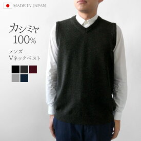 【ふるさと納税】 ニット ベスト Vネックカシミヤ 100% メンズ 日本製 M L LL | セーター ニットベスト 薄手 無地 シンプル 秋 冬 春 新潟県 五泉市 高橋ニット株式会社