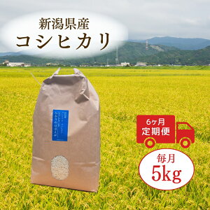yӂ邳Ɣ[Łz s\ ߘa7NY V  5kg ܐY RVqJ  Iׂ 3/6/12 |   Ђ   R V ܐs Ў֏_Y 2025N10{
