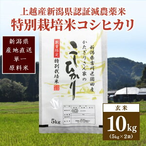 yӂ邳Ɣ[Łz250kg聚ߘa6NYEVzsg捑cYEF،_ā^ʍ͔|ăRVqJ10kg@͂FA2`3TԂړrɏ܂B