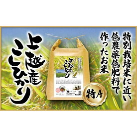 【ふるさと納税】米 上越産 こしひかり 5kg お米 コメ おこめ コシヒカリ 新潟 新潟県産 にいがた 上越　期間限定 レビューキャンペーン対象 　お届け：入金確認後、1週間以内に発送いたします。※発送直前に精米し、お届け致します。