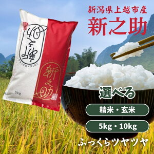 yӂ邳Ɣ[Łzߘa7N VzY Vuh VV 5kg 10kg 5L 10L    Fؕ ʍ͔| V VY @͂FA2`3TԂړrɏ