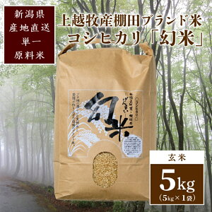 yӂ邳Ɣ[Łz500kg聚ߘa5NY|IcăRVqJ|VzqYuhāuāv5kg(5k×1)   ā@͂FA2`3TԂړrɏ܂B