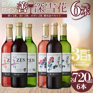 【ふるさと納税】ワイン 岩の原ワイン 善・深雪花飲み比べ6本セット(赤×2本、白×2本、ロゼ×2本 各720ml) 酒 ギフト 上越 お届け:入金確認後、順次発送いたします。