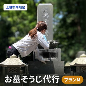 【ふるさと納税】掃除 お墓そうじ代行プランM（上越市内限定） そうじ 墓石 墓誌 外柵 灯篭 花筒 雑草 上越市 ぱるえむ　お届け：確認後、随時発送いたします。
