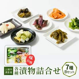 【ふるさと納税】漬物 専門店!国産野菜使用 人気の味自慢漬物詰合せBセット 漬け物 つけもの 加工食品 おかず お取り寄せ ごはんのお供　お届け：ご注文後、2～3週間を目途に順次発送いたします。