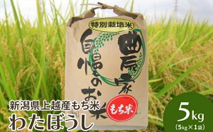 yӂ邳Ɣ[Łz ߘa6NEVzYbāu킽ڂvVʍ͔|āb5kgiāj   V@͂FA2`3TԂړrɏ܂B