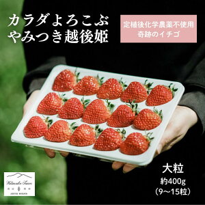 yӂ邳Ɣ[Łzys\ | 2026N1{o׊Jnz 嗱 J_낱 ݂ zP 400g×1pbN (9`15) C`S  zs V@͂F2026N1{`2026N5