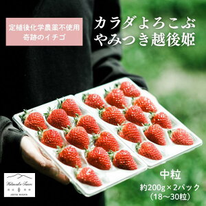 yӂ邳Ɣ[ŁzyzJnIׂz  J_낱 ݂ zP 200g×2pbN (18`30) C`S  zs V @͂F2026N2{`2026N6{iV