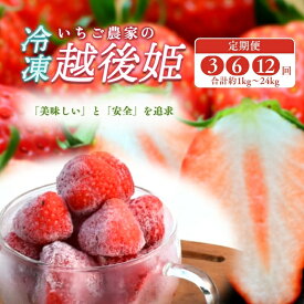 【ふるさと納税】冷凍いちご 越後姫 容量と配送回数が選べる 冷凍 イチゴ 苺 果物 フルーツ 新潟　お届け：寄附のご入金後、順次発送いたします。