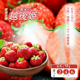 【ふるさと納税】いちご 雪国完熟いちご越後姫 容量が選べる 苺 イチゴ フルーツ 完熟 越後 新潟　お届け：ご入金確認後、11月から順次発送いたします。