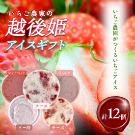 【ふるさと納税】アイス 越後姫アイスギフト 12個 セット 越後姫 アイスクリーム ギフト 詰め合わせ 冷凍 新潟 苺の花ことば　お届け：寄附のご入金後、順次発送いたします。