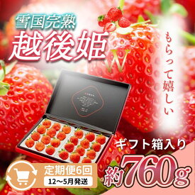 【ふるさと納税】先行予約 定期便 6回【12～5月発送】いちごの定期配送 雪国完熟いちご越後姫 ダブル（約760g×全6回） 越後姫 いちご 苺の花ことば　お届け：ご入金確認後、2026年12月～5月の月1回お届け
