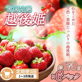 【ふるさと納税】先行予約 定期便 3回【1～3月発送】雪国完熟いちご越後姫 170g×6全3回 定期配送 越後姫 いちご 定期便 完熟 苺 新潟 苺の花ことば　お届け：ご入金確認後、2027年1月～3月の月1回お届け