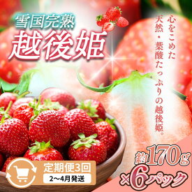 【ふるさと納税】先行予約 定期便 3回【2～4月発送】雪国完熟いちご越後姫 170g×6全3回 定期配送 越後姫 いちご 定期便 完熟 苺 新潟 苺の花ことば　お届け：ご入金確認後、2027年2月～4月の月1回お届け