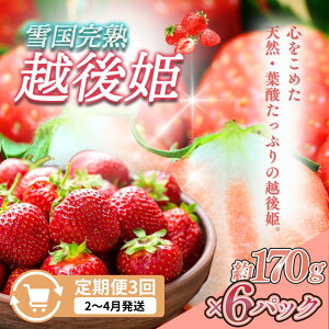 yӂ邳Ɣ[Łz 3y2`4zፑnzP 170g×6S3 z zP   n  V@͂F2`4̌1񂨓͂܂B