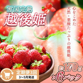 【ふるさと納税】先行予約 定期便 3回【3～5月発送】雪国完熟いちご越後姫 170g×6全3回 定期配送 越後姫 いちご 定期便 完熟 苺 新潟 苺の花ことば　お届け：ご入金確認後、2027年3月～5月の月1回お届け