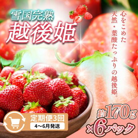 【ふるさと納税】先行予約 定期便 3回【4～6月発送】雪国完熟いちご越後姫 170g×6全3回 定期配送 越後姫 いちご 定期便 完熟 苺 新潟 苺の花ことば　お届け：ご入金確認後、2027年4月～6月の月1回お届け