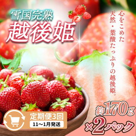 【ふるさと納税】先行予約 定期便 3回【11～1月発送】いちごの定期配送 雪国完熟いちご越後姫170g×2全3回 越後姫 いちご 定期便 完熟 苺の花ことば　お届け：ご入金確認後、2026年11月～1月の月1回お届け