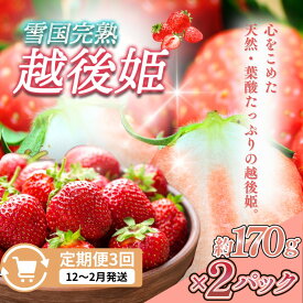 【ふるさと納税】先行予約 定期便 3回【12～2月発送】いちごの定期配送 雪国完熟いちご越後姫170g×2全3回 越後姫 いちご 定期便 完熟 苺の花ことば　お届け：ご入金確認後、2026年12月～2月の月1回お届け