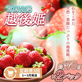 【ふるさと納税】先行予約 定期便 3回【1～3月発送】雪国完熟いちご越後姫 170g×2全3回 定期配送 越後姫 いちご 定期便 完熟 苺 新潟 苺の花ことば　お届け：ご入金確認後、2027年1月～3月の月1回お届け
