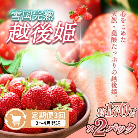 【ふるさと納税】先行予約 定期便 3回【2～4月発送】雪国完熟いちご越後姫 170g×2全3回 定期配送 越後姫 いちご 定期便 完熟 苺 新潟 苺の花ことば　お届け：ご入金確認後、2027年2月～4月の月1回お届け