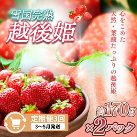 【ふるさと納税】先行予約 定期便 3回【3～5月発送】雪国完熟いちご越後姫 170g×2全3回 定期配送 越後姫 いちご 定期便 完熟 苺 新潟 苺の花ことば　お届け：ご入金確認後、2027年3月～5月の月1回お届け