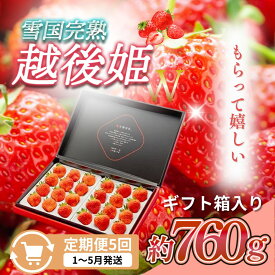 【ふるさと納税】先行予約 定期便 5回【1～5月発送】いちごの定期配送 雪国完熟いちご越後姫 ダブル（約760g×全5回） 越後姫 いちご 苺の花ことば　お届け：ご入金確認後、2027年1月～5月の月1回お届け