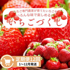 【ふるさと納税】定期便 12回【1～12月発送】いちごづくし定期配送 苺 いちご 冷凍いちご いちごアイス シャーベット ジャム 苺の花ことば　お届け：1月～12月の月1回お届けいたします。※入金確認後の翌月からお届けします。