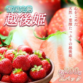 【ふるさと納税】いちご 新潟 雪国完熟越後姫 約200g×2P イチゴ 苺 フルーツ 果物 お取り寄せ ギフト 贈り物 上越　お届け：ご入金確認後、11月から順次発送いたします。
