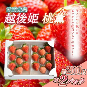 yӂ邳Ɣ[Łz V ፑnzPO 200g×2PHה׃Zbg C`S   Mtg 蕨 z@͂F2026N1ȍ~noA܂B