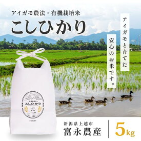 【ふるさと納税】【10月上旬より順次出荷】 令和7年産 米 JAS有機栽培米 アイガモ農法 こしひかり 白米 5kg お米 コメ コシヒカリ　お届け：2025年10月上旬から発送
