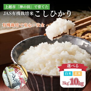 yӂ邳Ɣ[Łzߘa7N VYRVqJ ACK_@ 5kg 5L 10kg 10L ASL@͔| zs Oa_c xi_Y  SESЂ@͂F2025N10{甭