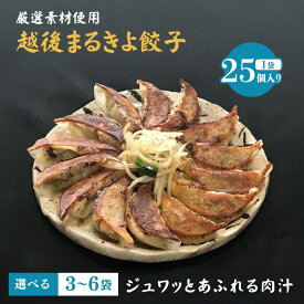 【ふるさと納税】餃子 冷凍 越後まるきよ餃子 容量が選べる 75個 100個 125個 150個 セット ぎょうざ ギョウザ 中華 惣菜 点心 おつまみ 送料無料