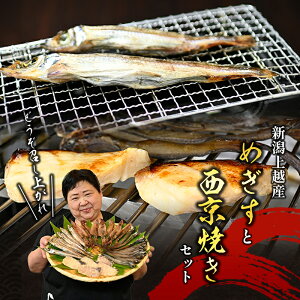 yӂ邳Ɣ[ŁzMXƏ{̐ЂZbg@MX {  Ђ  Zbg  CY  V zs@͂FmFA܂B