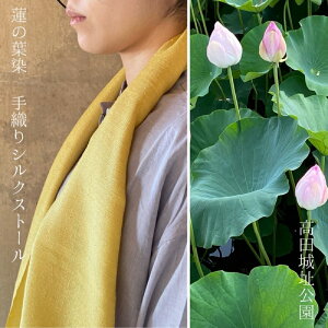 yӂ邳Ɣ[ŁzXg[ c隬 @̗t DVNv`Xg[ D VN V z zs@͂FmFA܂B