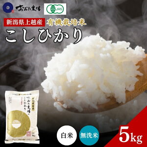 �y�ӂ邳�Ɣ[�Łz�� �y�ߘa7�N�Y�z �V������z�Y �L�@�͔|�� �R�V�q�J�� �y����/�����āz 5kg 5�L�� ���� ���� ���� �H�i �l�C �������� �ɂ����� ��z ��z�Y�@���͂��F2025�N12�����{���珇��