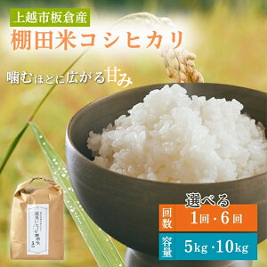 yӂ邳Ɣ[Łzߘa7NY Ic zsqY RVqJ 5kg 10kg 5L 10L V  V  V Ђ   