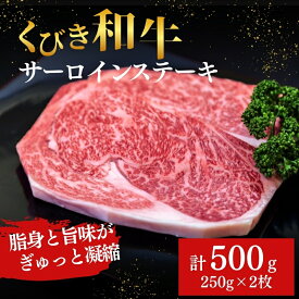 【ふるさと納税】【にいがた和牛】くびき和牛　サーロインステーキ(250g×2枚) 上越市 牛肉 和牛