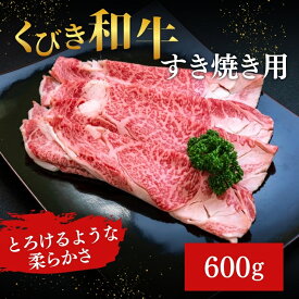 【ふるさと納税】【にいがた和牛】くびき和牛　すき焼き用(600g×1パック) 上越市 牛肉 和牛