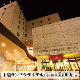 【ふるさと納税】上越サンプラザホテル　5000円分宿泊利用券 上越市 旅行 観光 宿泊