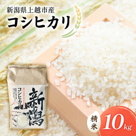 【ふるさと納税】令和7年 新潟県上越市産 コシヒカリ（特別栽培米） 10kg 10キロ 米 こしひかり 山本農園 ご飯 精米 新潟 上越